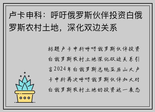 卢卡申科：呼吁俄罗斯伙伴投资白俄罗斯农村土地，深化双边关系
