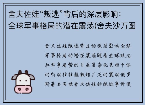 舍夫佐娃“叛逃”背后的深层影响：全球军事格局的潜在震荡(舍夫沙万图片)