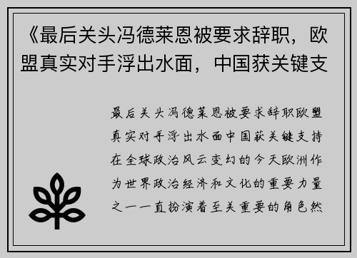 《最后关头冯德莱恩被要求辞职，欧盟真实对手浮出水面，中国获关键支持》